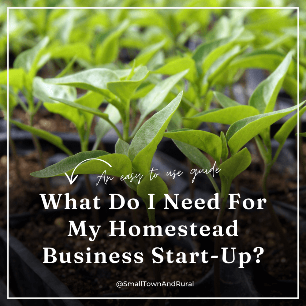 What do I need for my homestead business start-up?