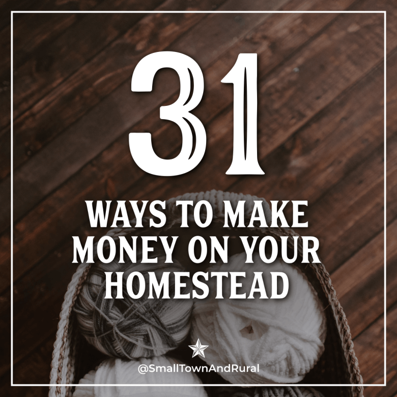 31 Ways To Make Money On Your Homestead