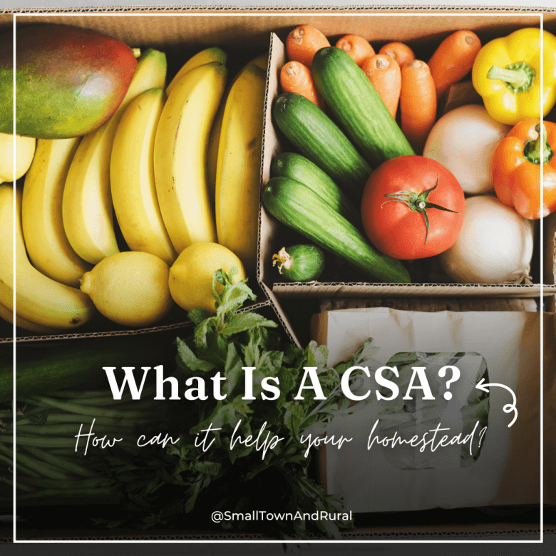 What Is A CSA And How Can It Help Your Homestead?