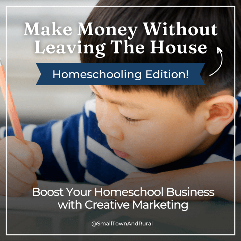 Make Money without Leaving the House: Homeschooling Edition!