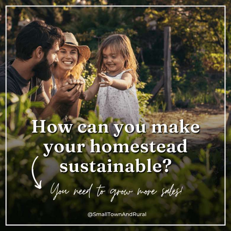 How can you make your homestead sustainable?