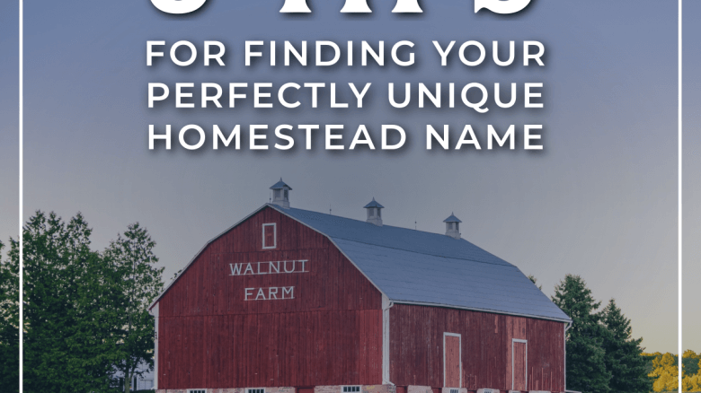 3 Tips for Finding A Perfectly Unique Homestead Name