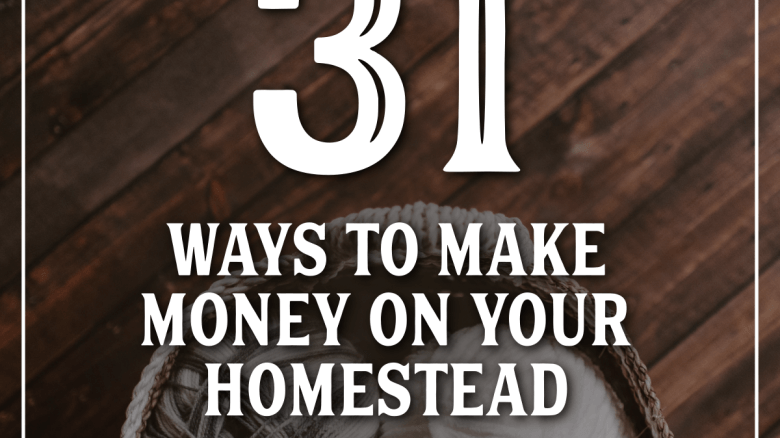 31 Ways To Make Money On Your Homestead