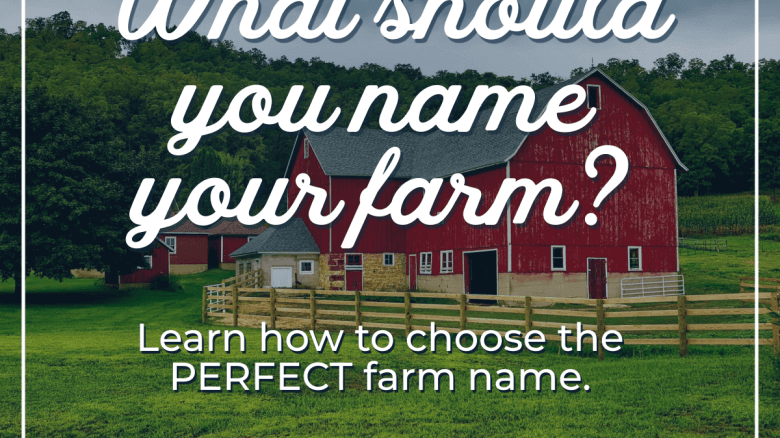 What Should You Name Your Farm?