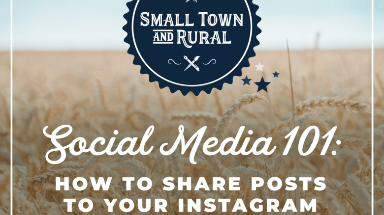 Social Media 101: How To Share Posts to Your Instagram Stories
